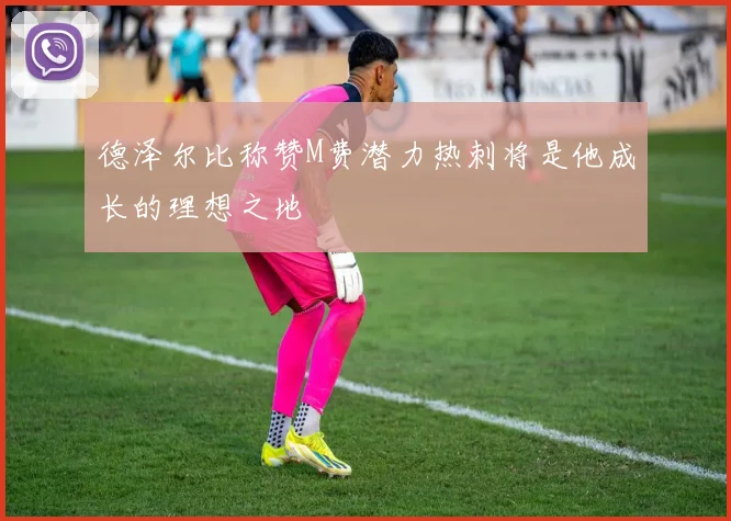 德泽尔比称赞M费潜力热刺将是他成长的理想之地